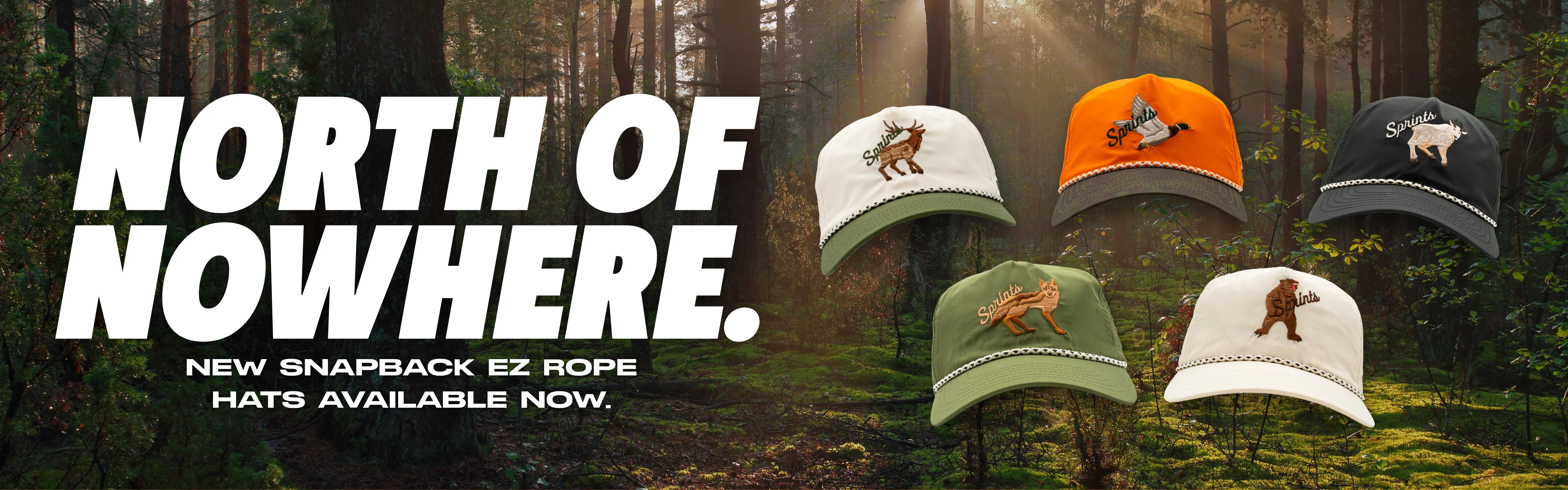 Run Wild in Bold Style